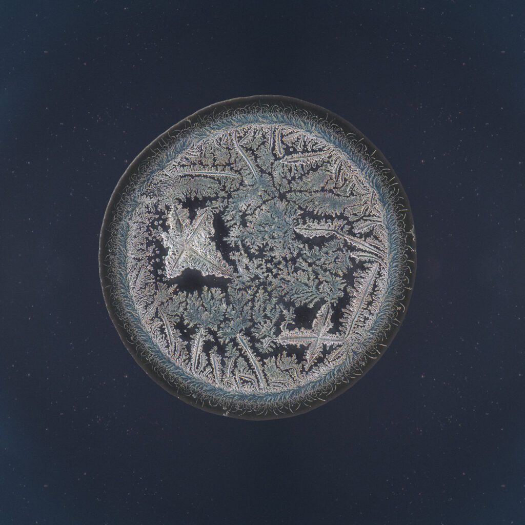 Charlotte — emotional tear photographed under the microscope
