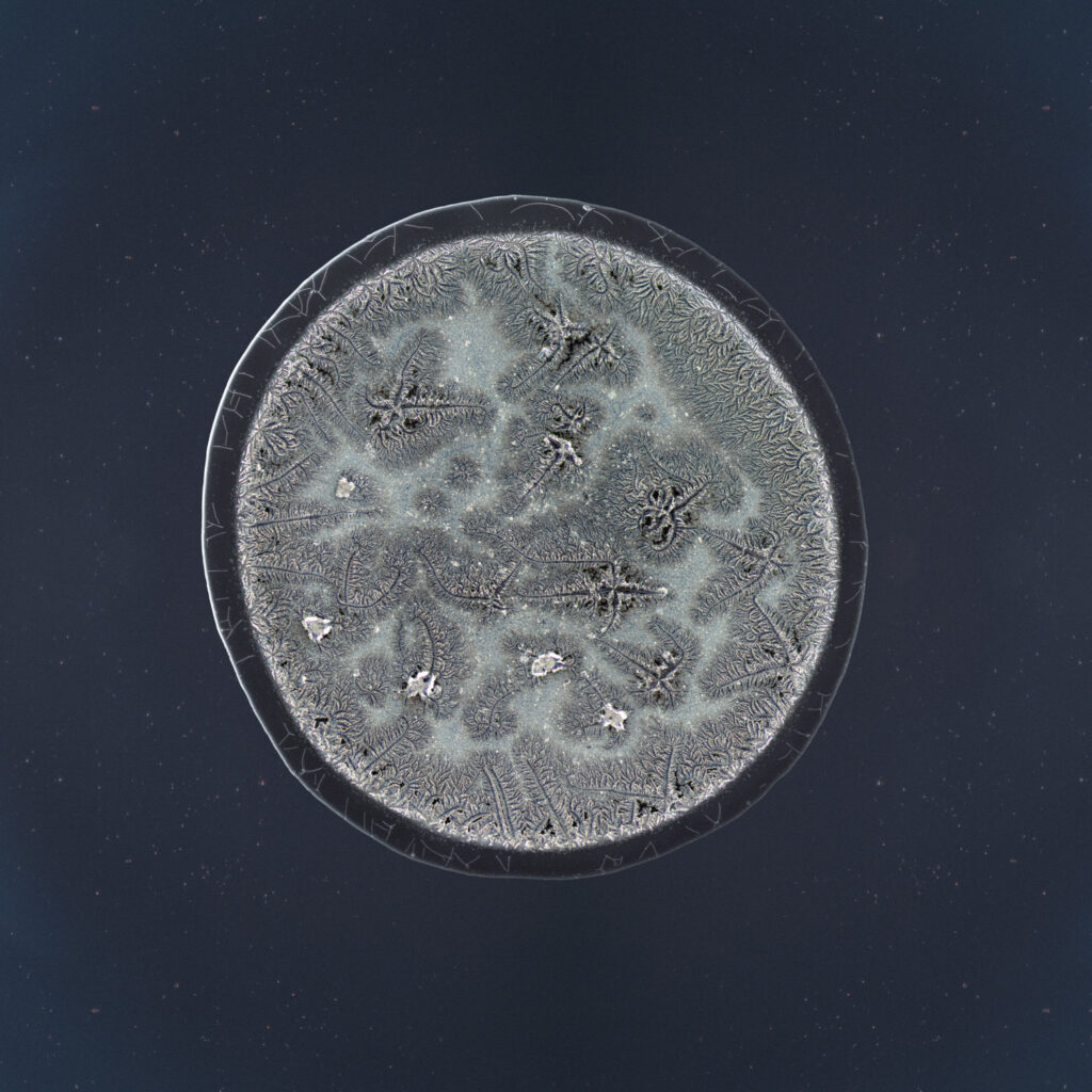 Edward — emotional tear photographed under the microscope