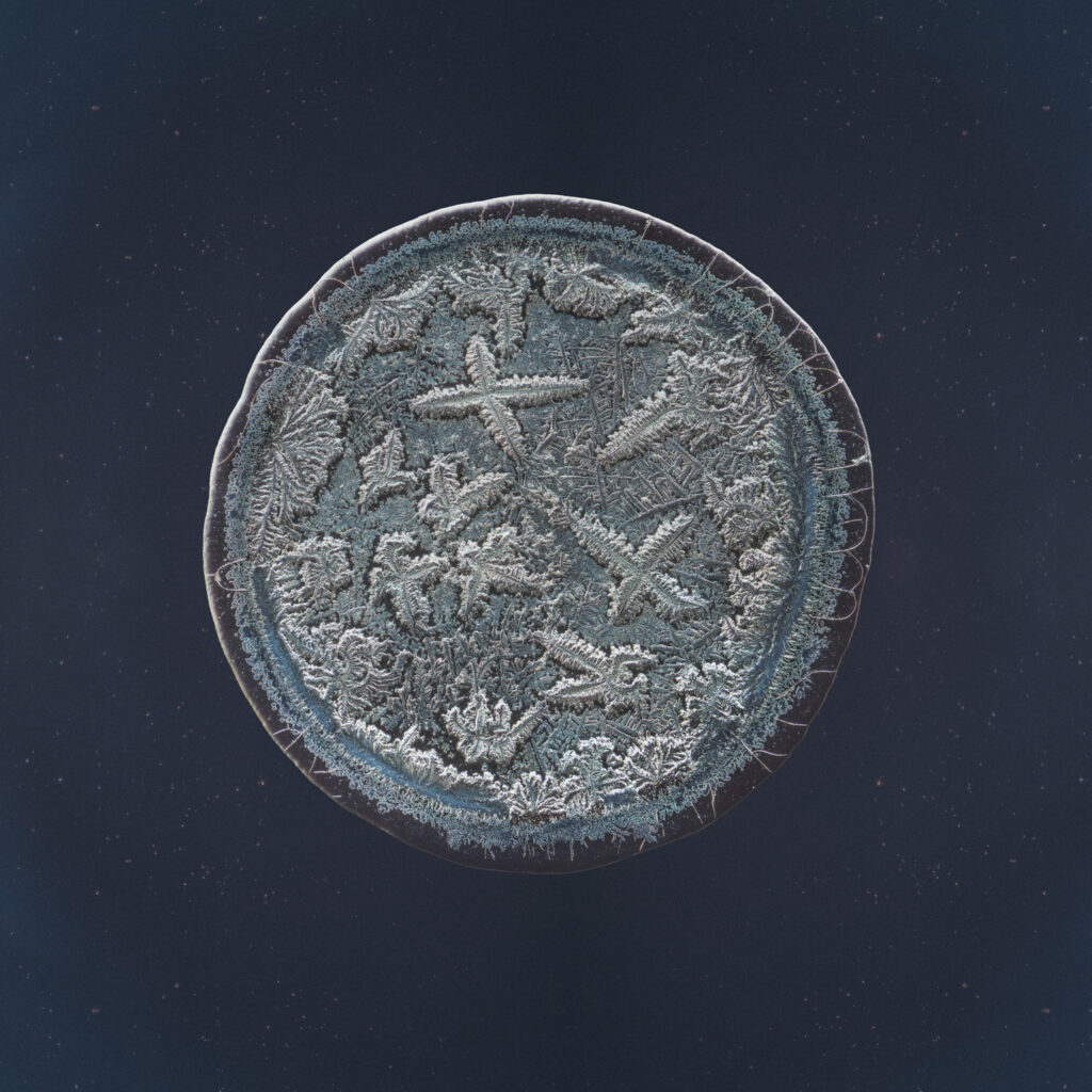 Marieke — emotional tear photographed under the microscope