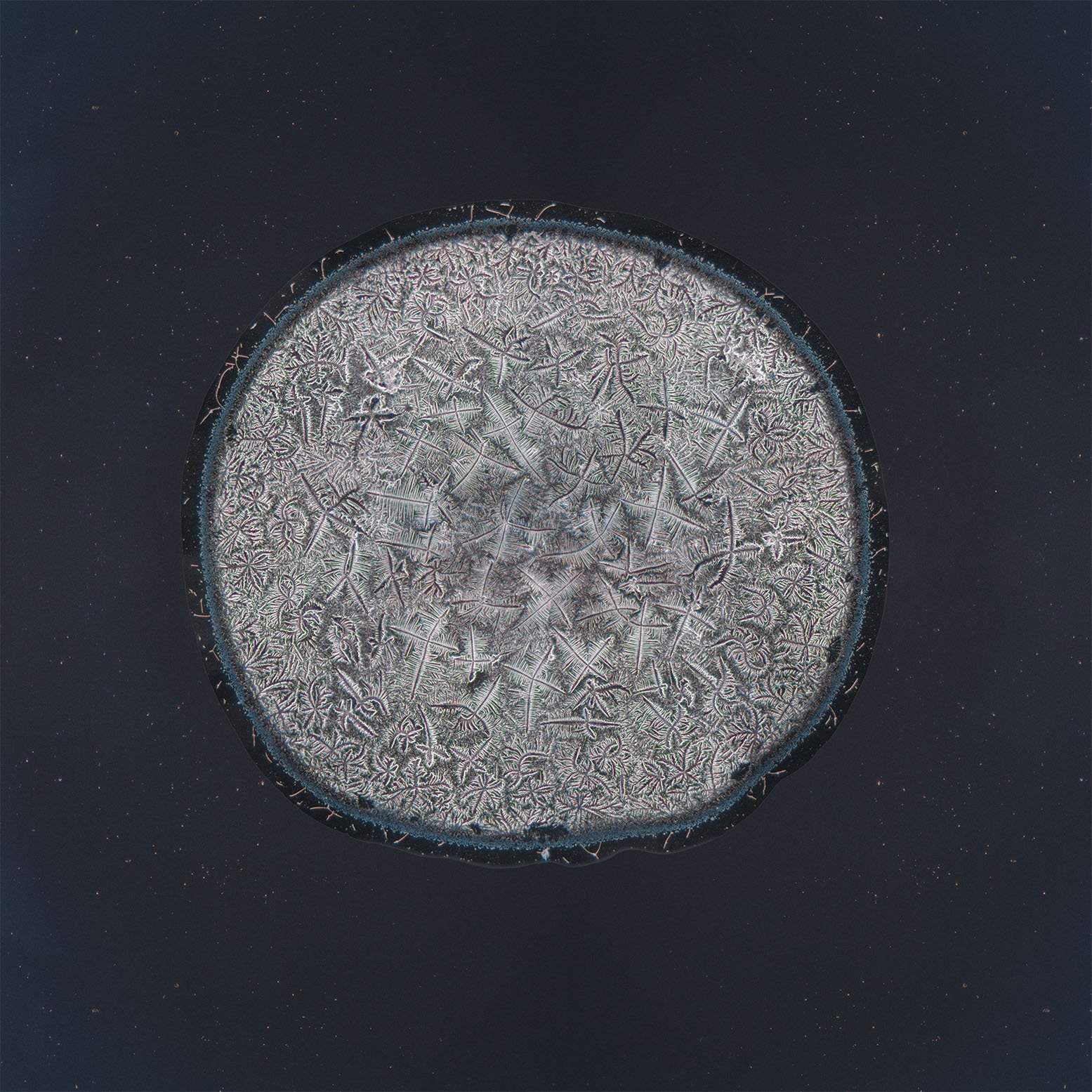 Anna tear photographed under the microscope