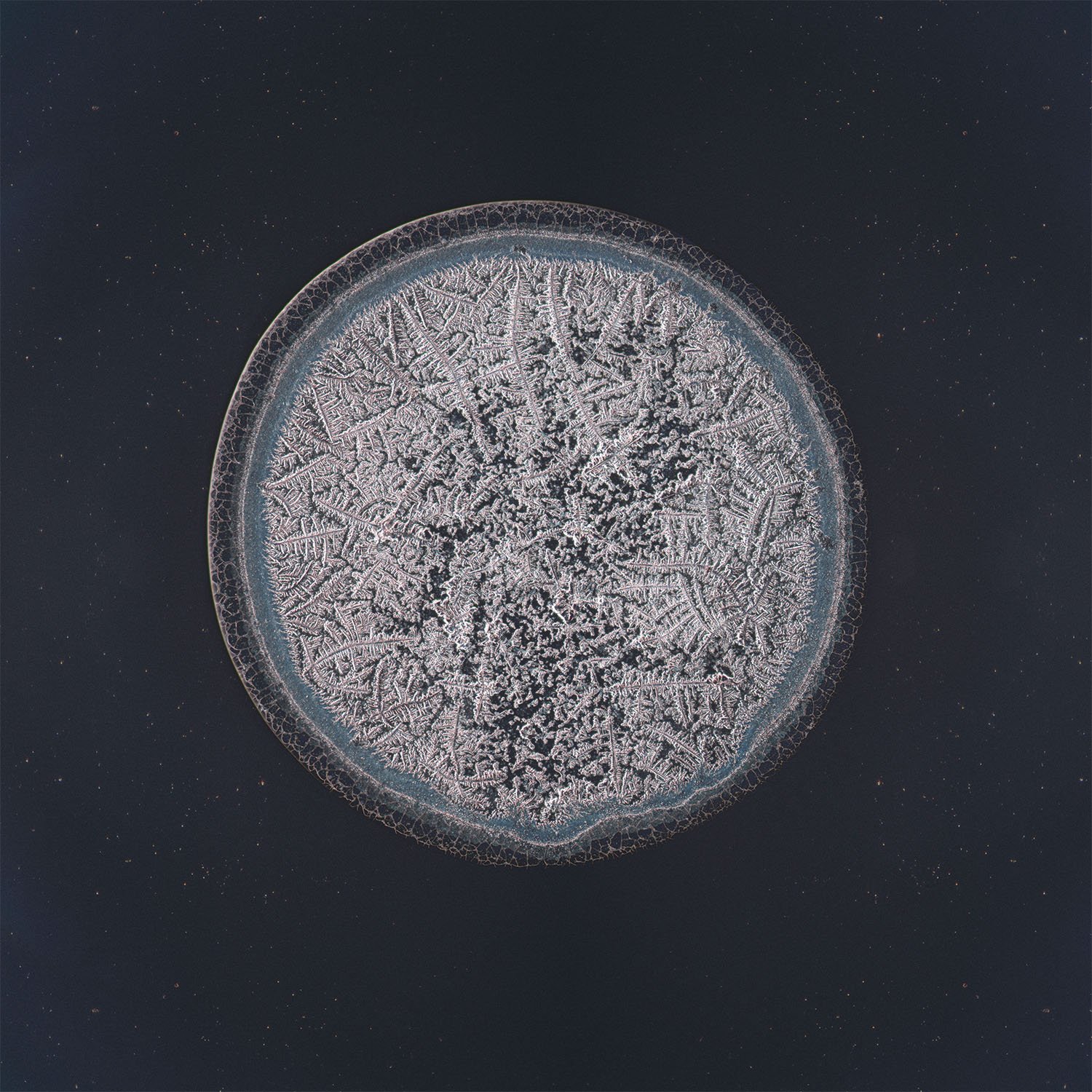 Choi tear photographed under the microscope