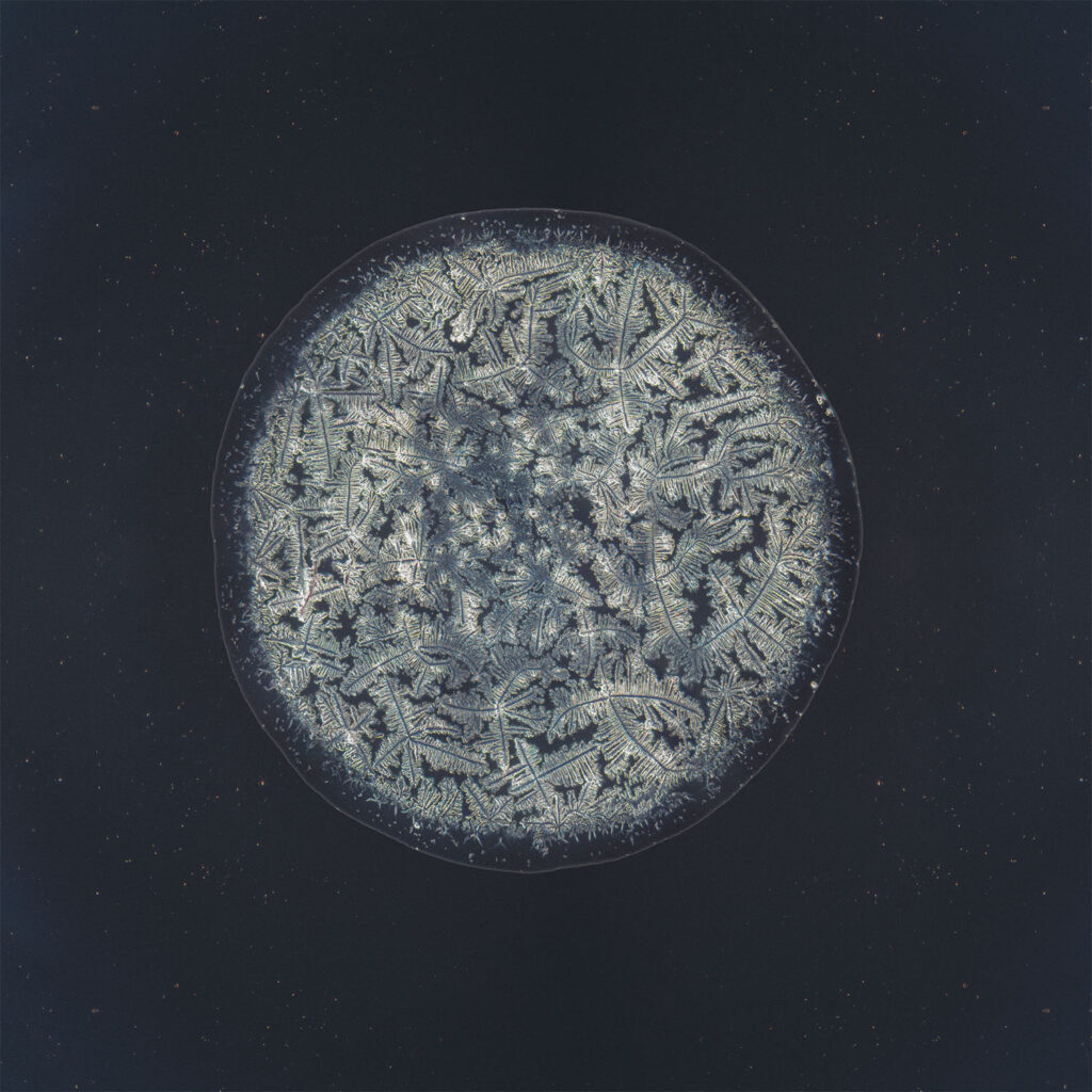 Danae — emotional tear photographed under the microscope