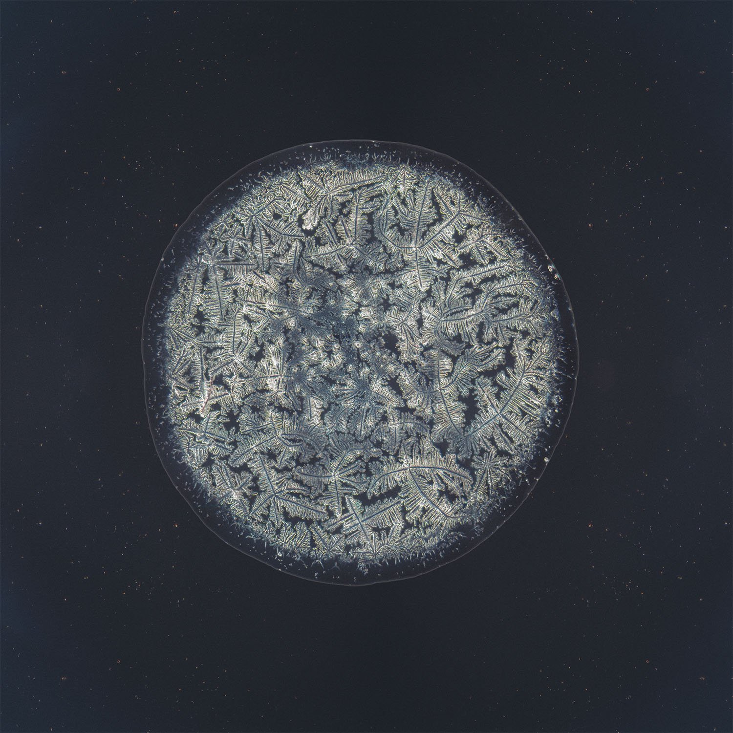 Danae tear photographed under the microscope