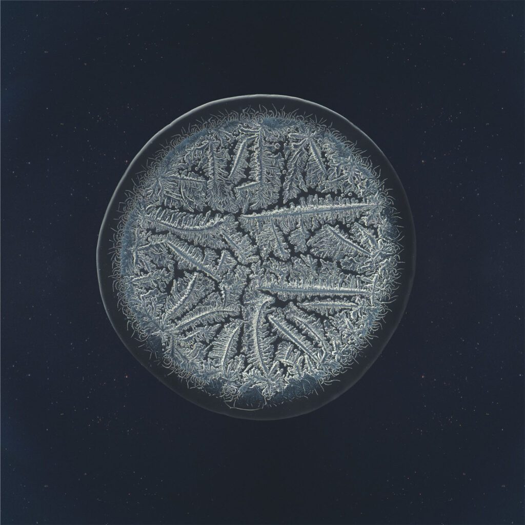 Ella — emotional tear photographed under the microscope