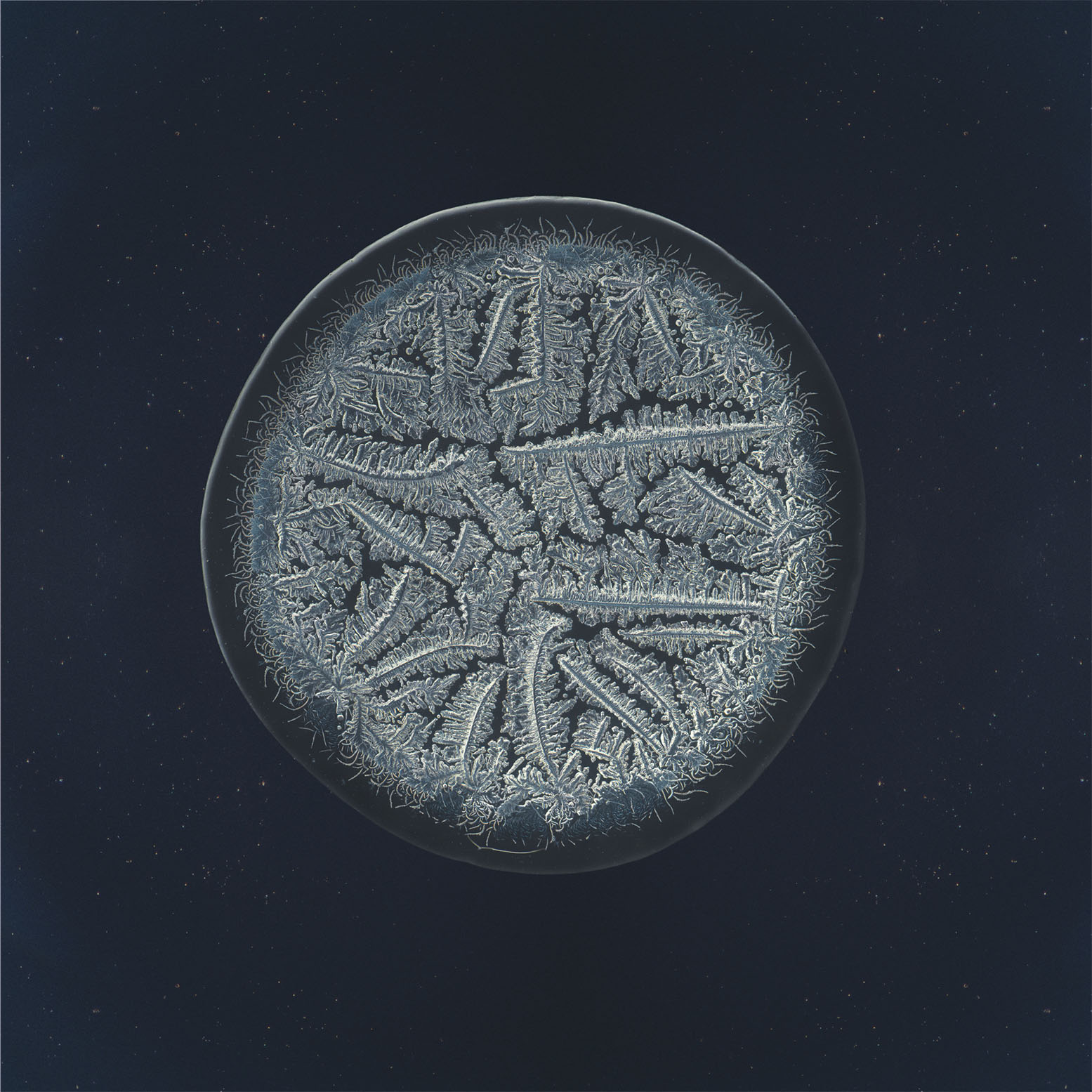Ella tear photographed under the microscope