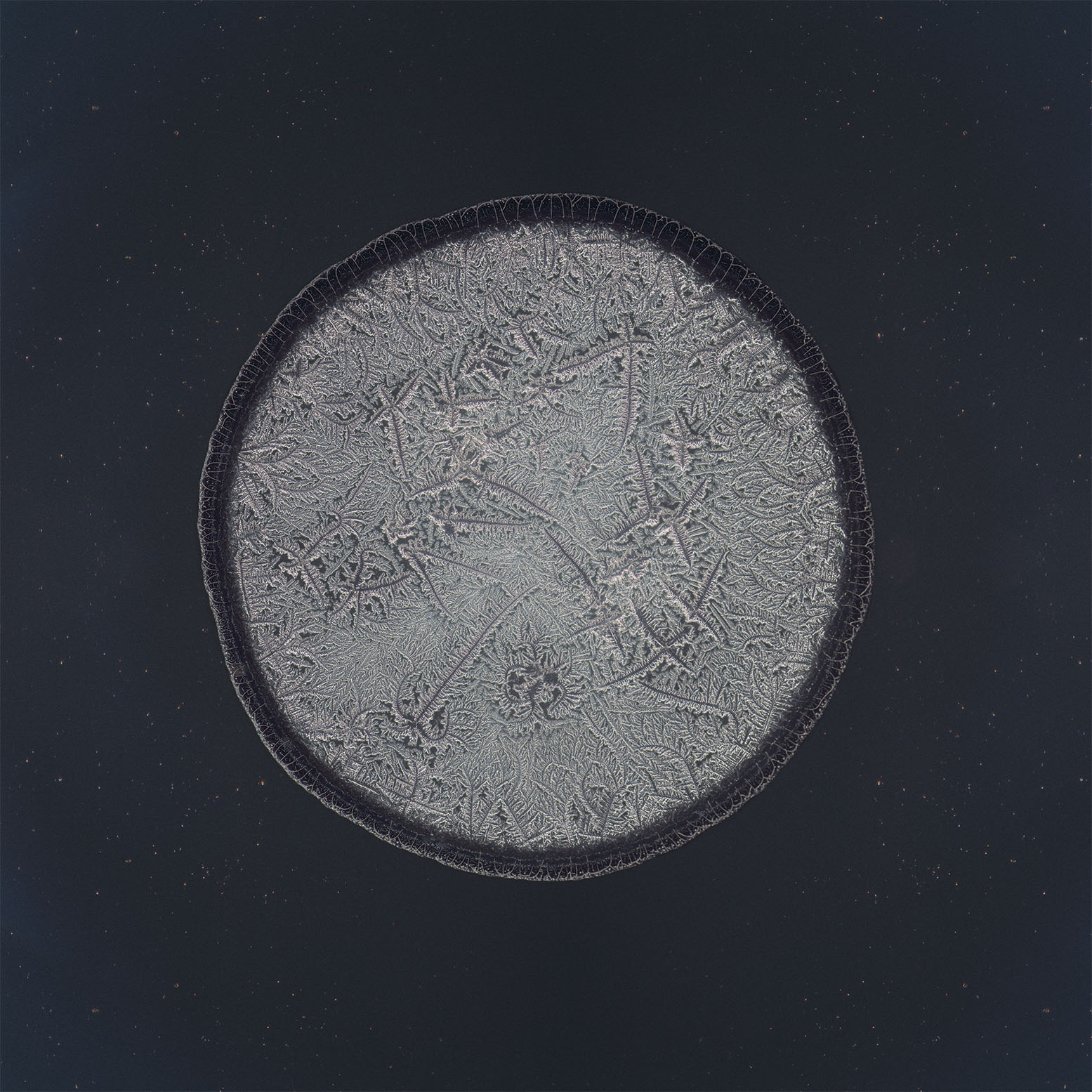 Geiste tear photographed under the microscope