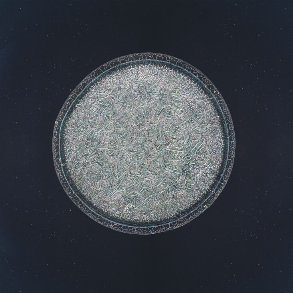 Lina — emotional tear photographed under the microscope