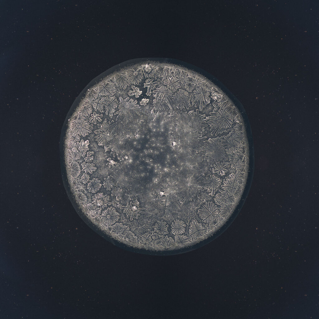 Madita — emotional tear photographed under the microscope