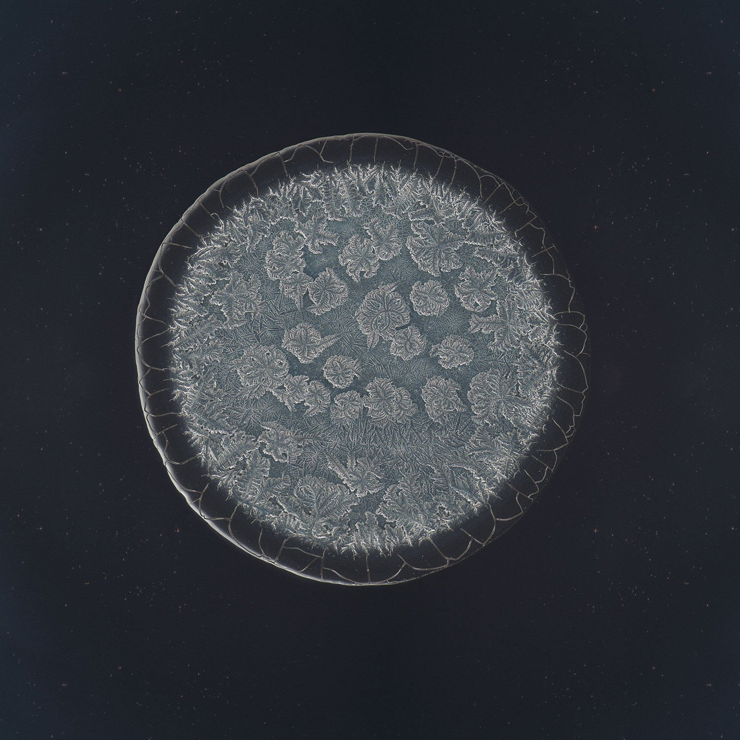 Mandy tear photographed under the microscope