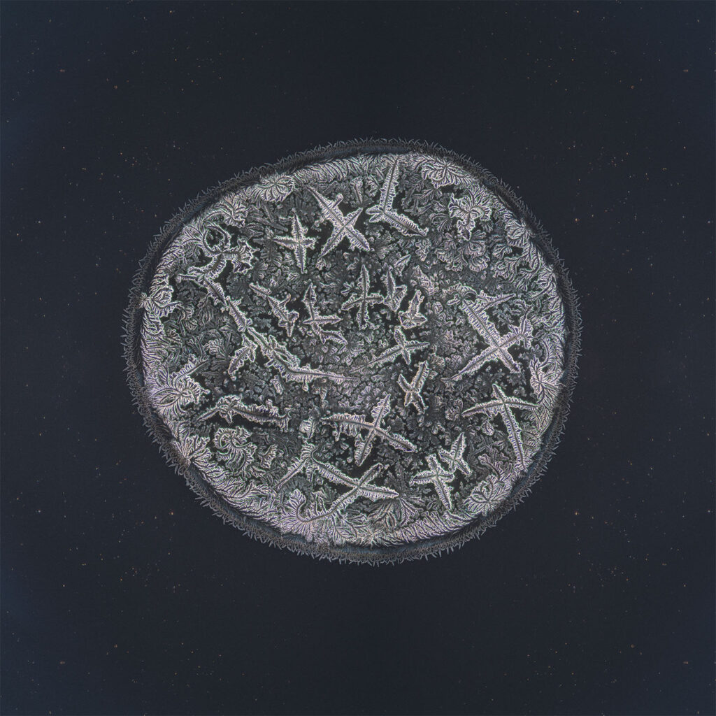Marcela — emotional tear photographed under the microscope