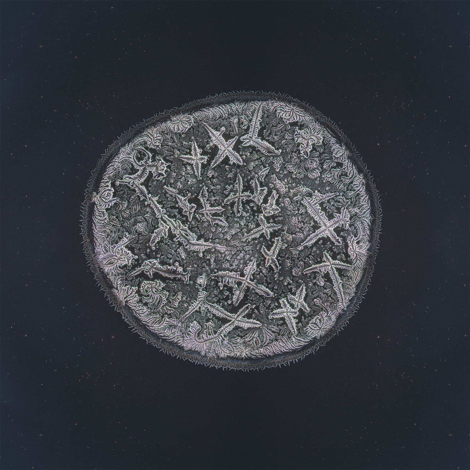 Marcela tear photographed under the microscope