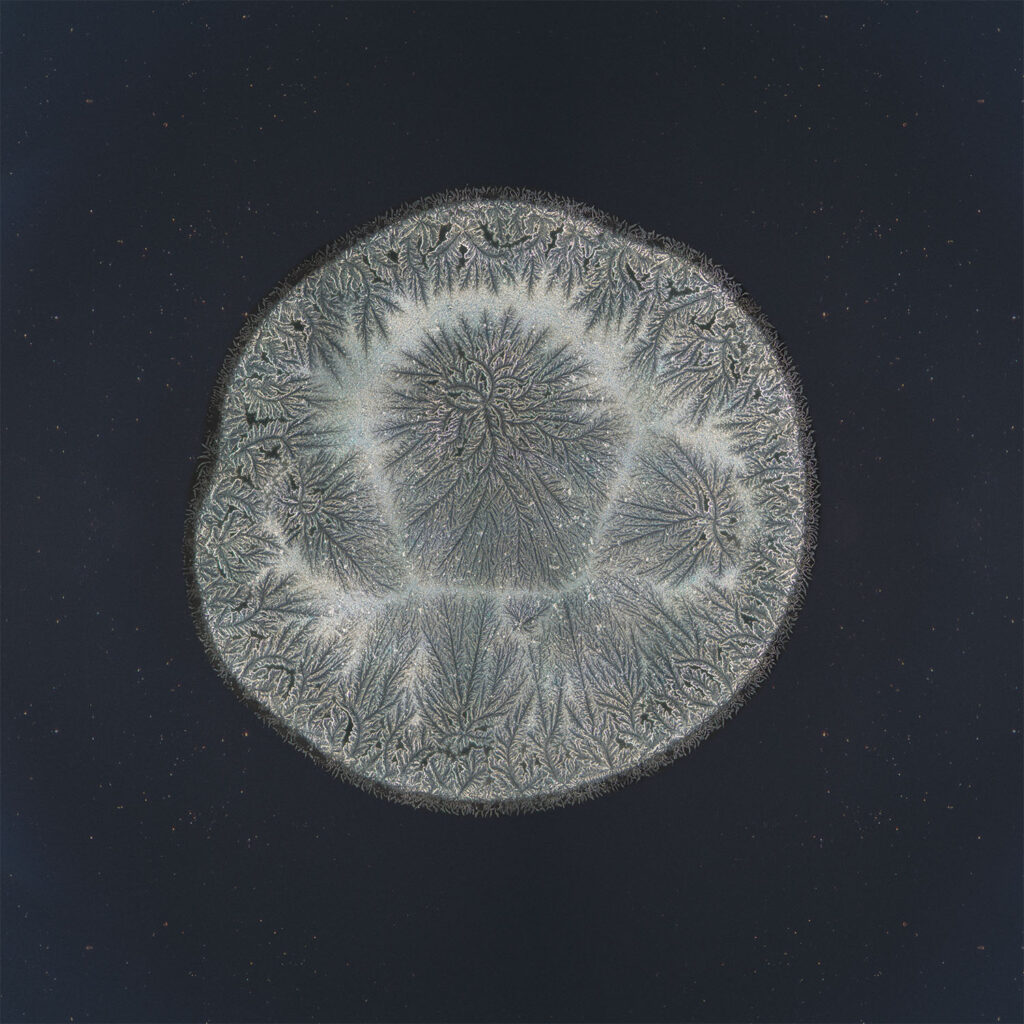 Maria — emotional tear photographed under the microscope