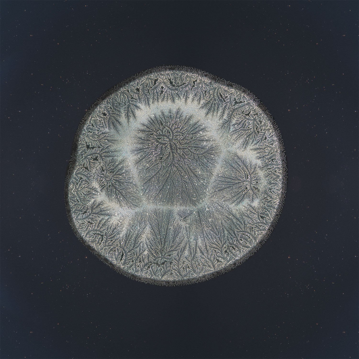 Maria tear photographed under the microscope
