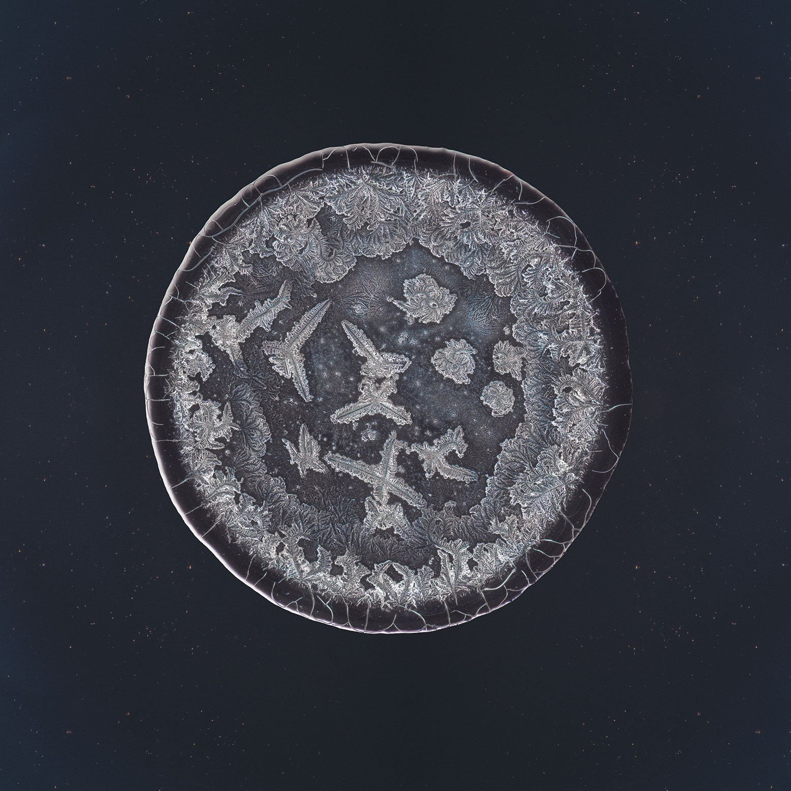 Marieke tear photographed under the microscope