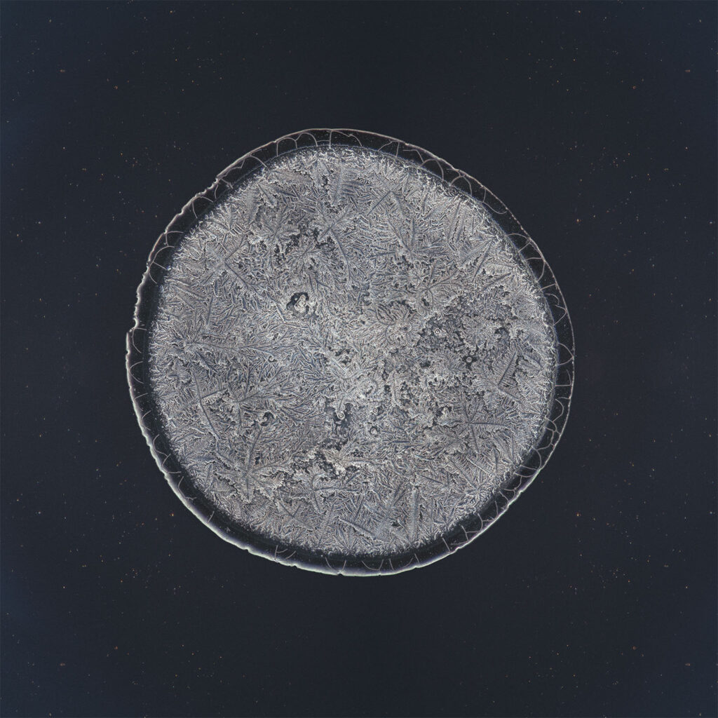 Mieke — emotional tear photographed under the microscope