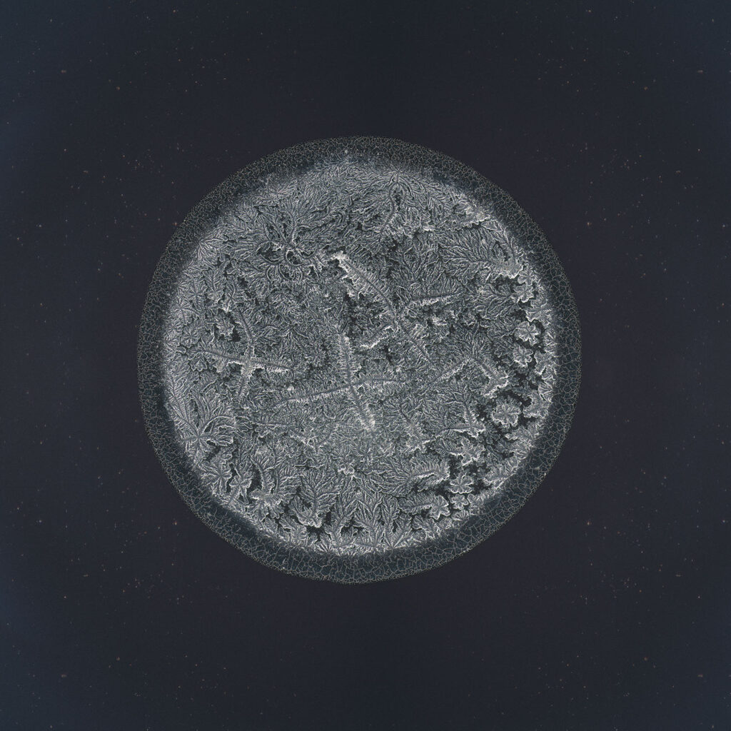 Rianne — emotional tear photographed under the microscope