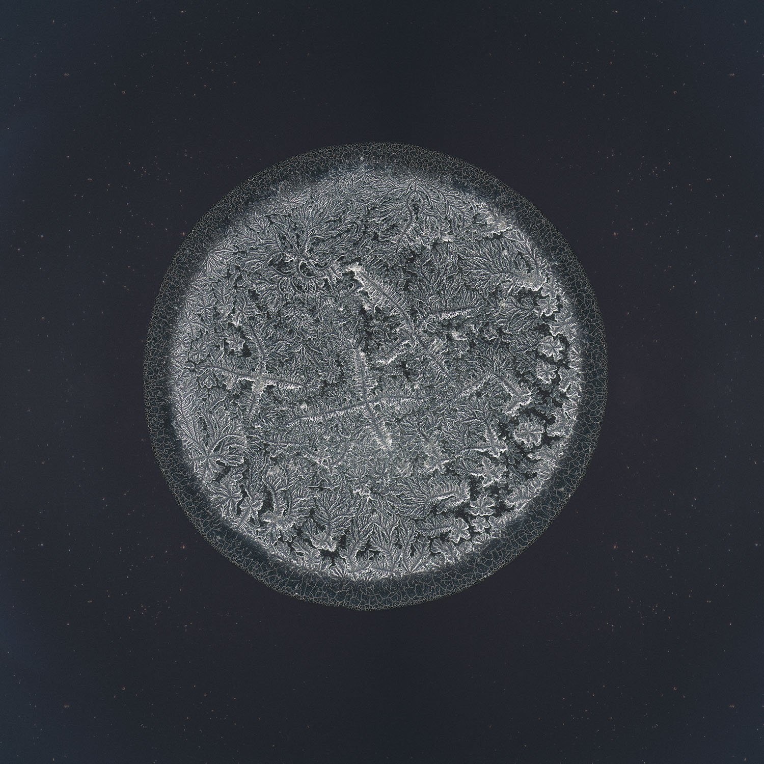 Rianne tear photographed under the microscope