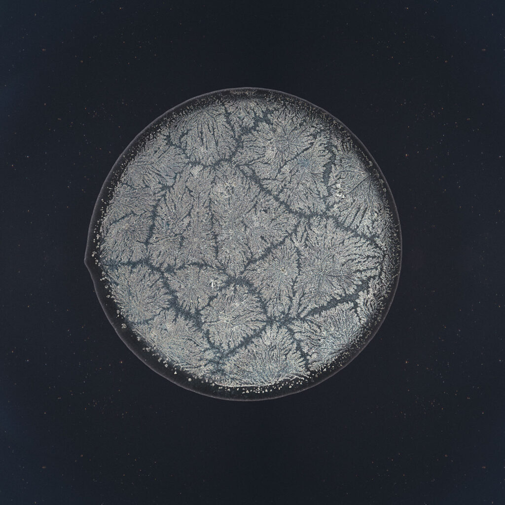 Solnit — emotional tear photographed under the microscope