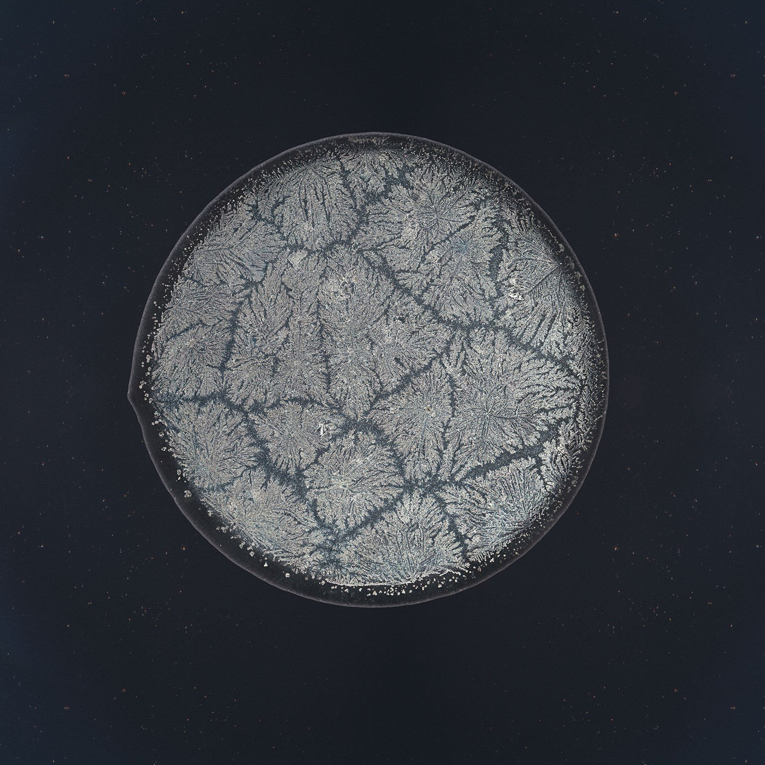 Solnit tear photographed under the microscope