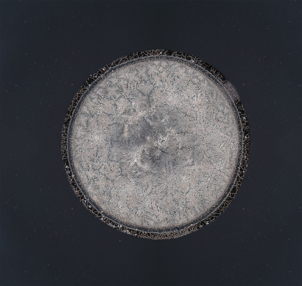 Takami — emotional tear photographed under the microscope