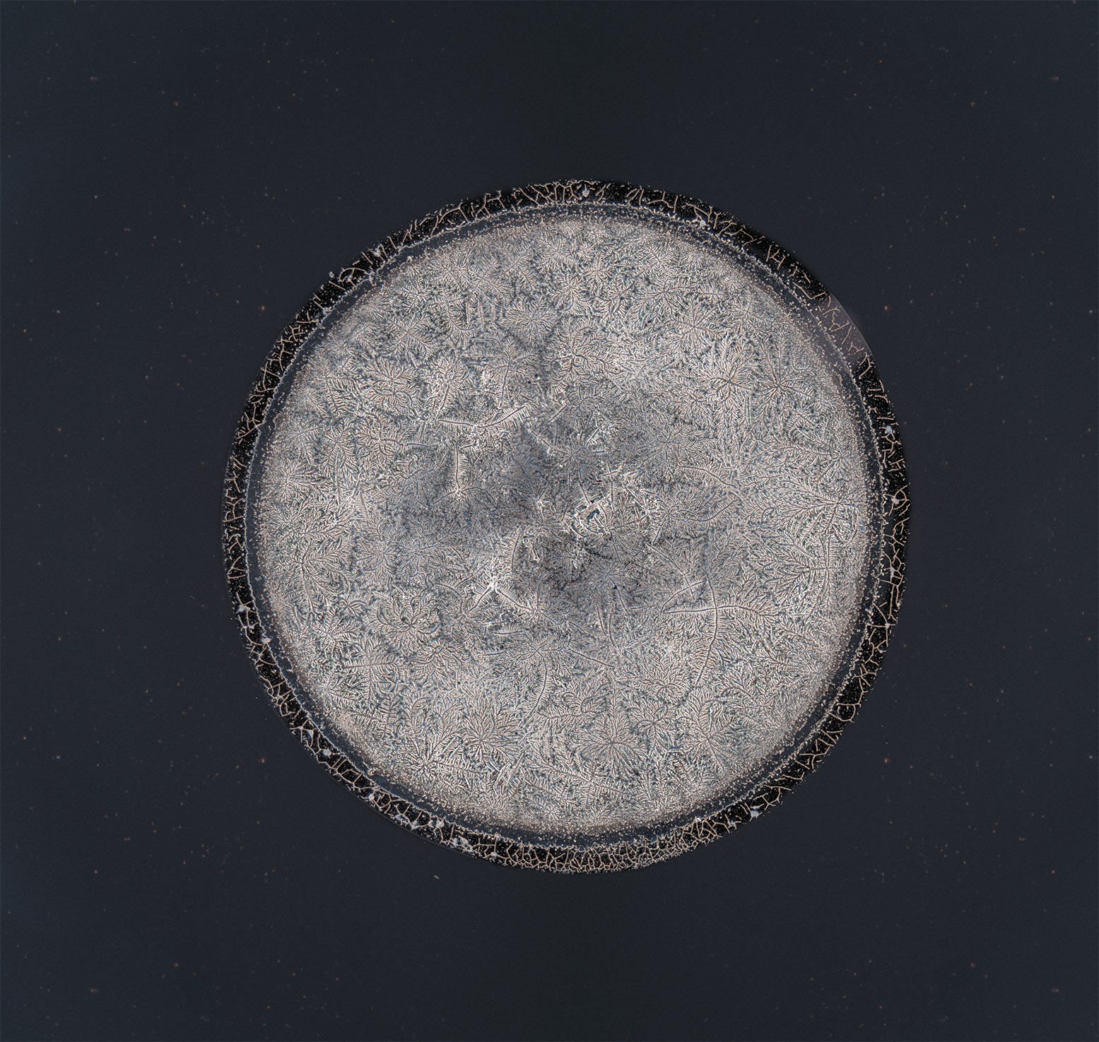 Takami tear photographed under the microscope