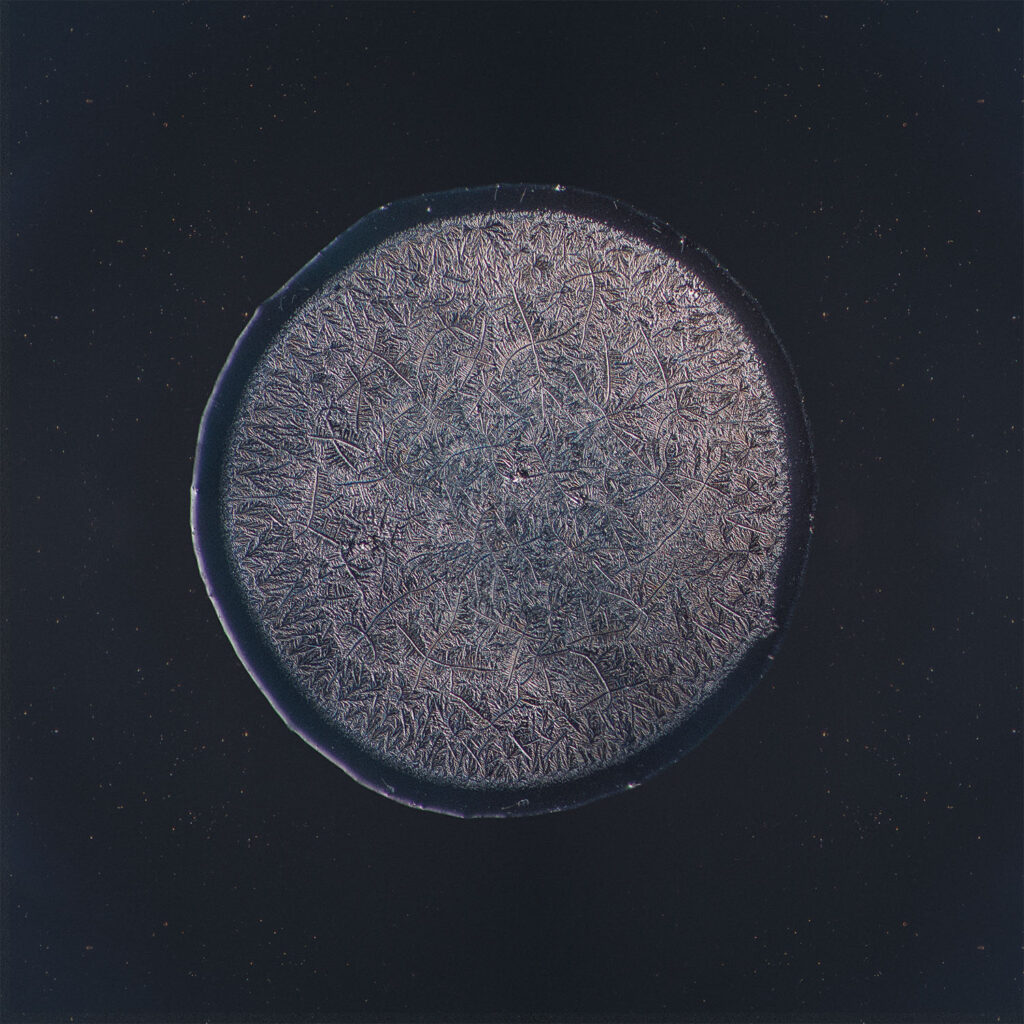 Maurice — emotional tear photographed under the microscope